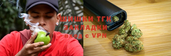дживик Арсеньев
