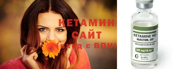 дживик Арсеньев
