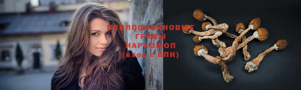 дмт Аркадак