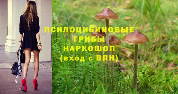 дмт Аркадак