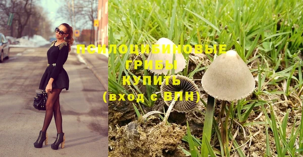дмт Аркадак