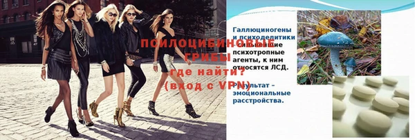 дмт Аркадак