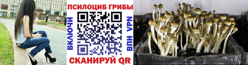 Галлюциногенные грибы прущие грибы  Осташков 